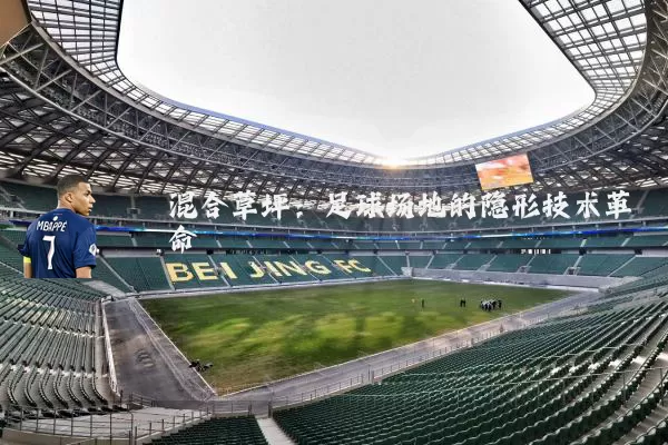 混合草坪：足球场地的隐形技术革命